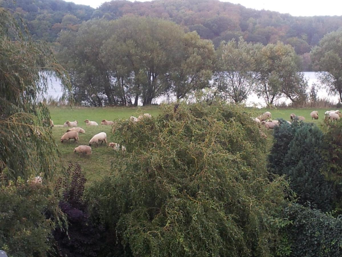 Elbe Ferien Lejlighed Marschacht Værelse billede