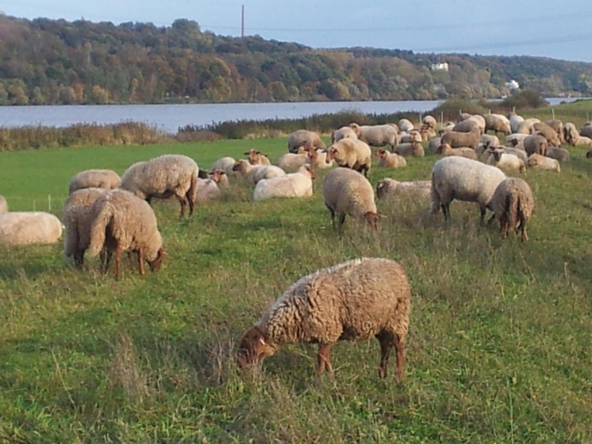 Elbe Ferien Lejlighed Marschacht Eksteriør billede